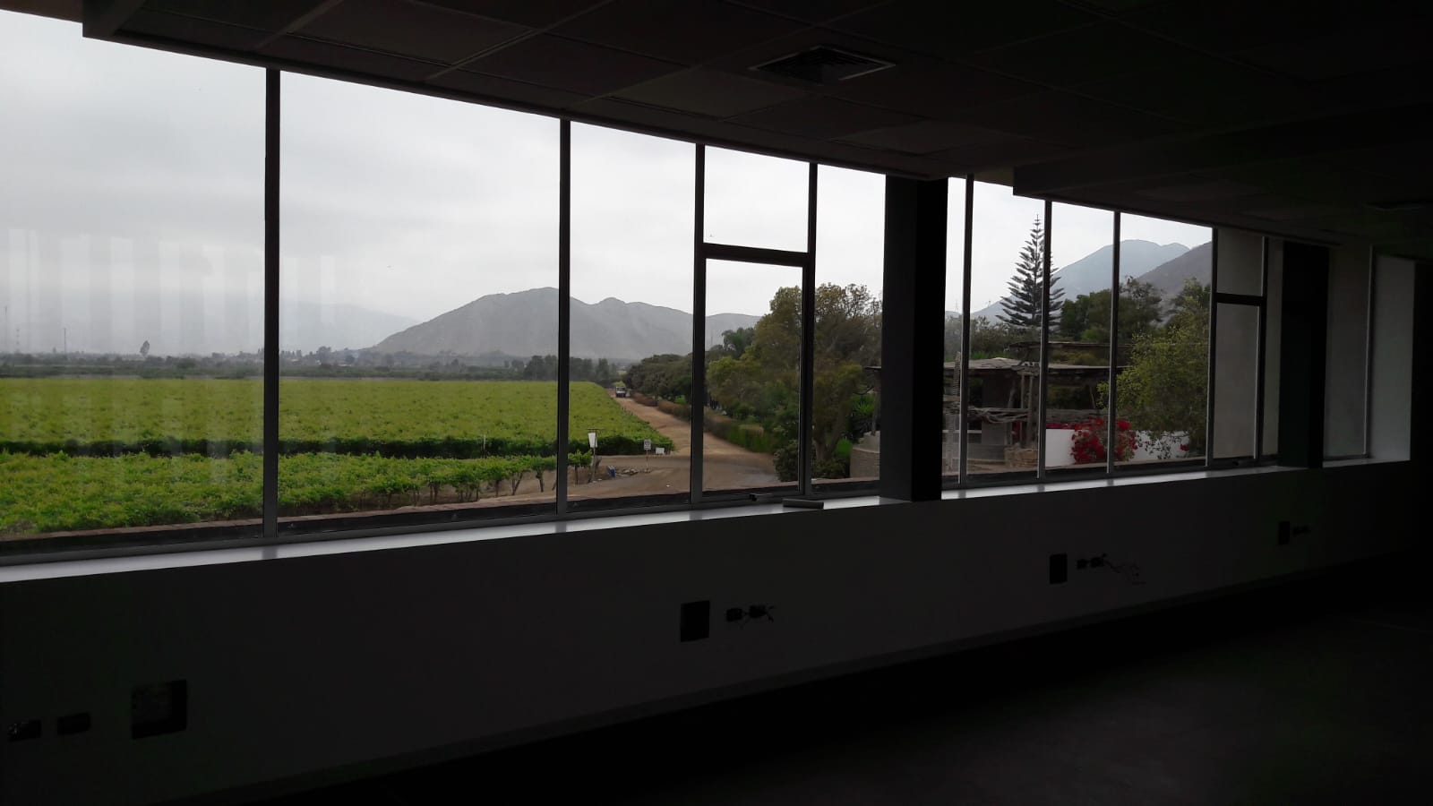 lámina de control solar 13