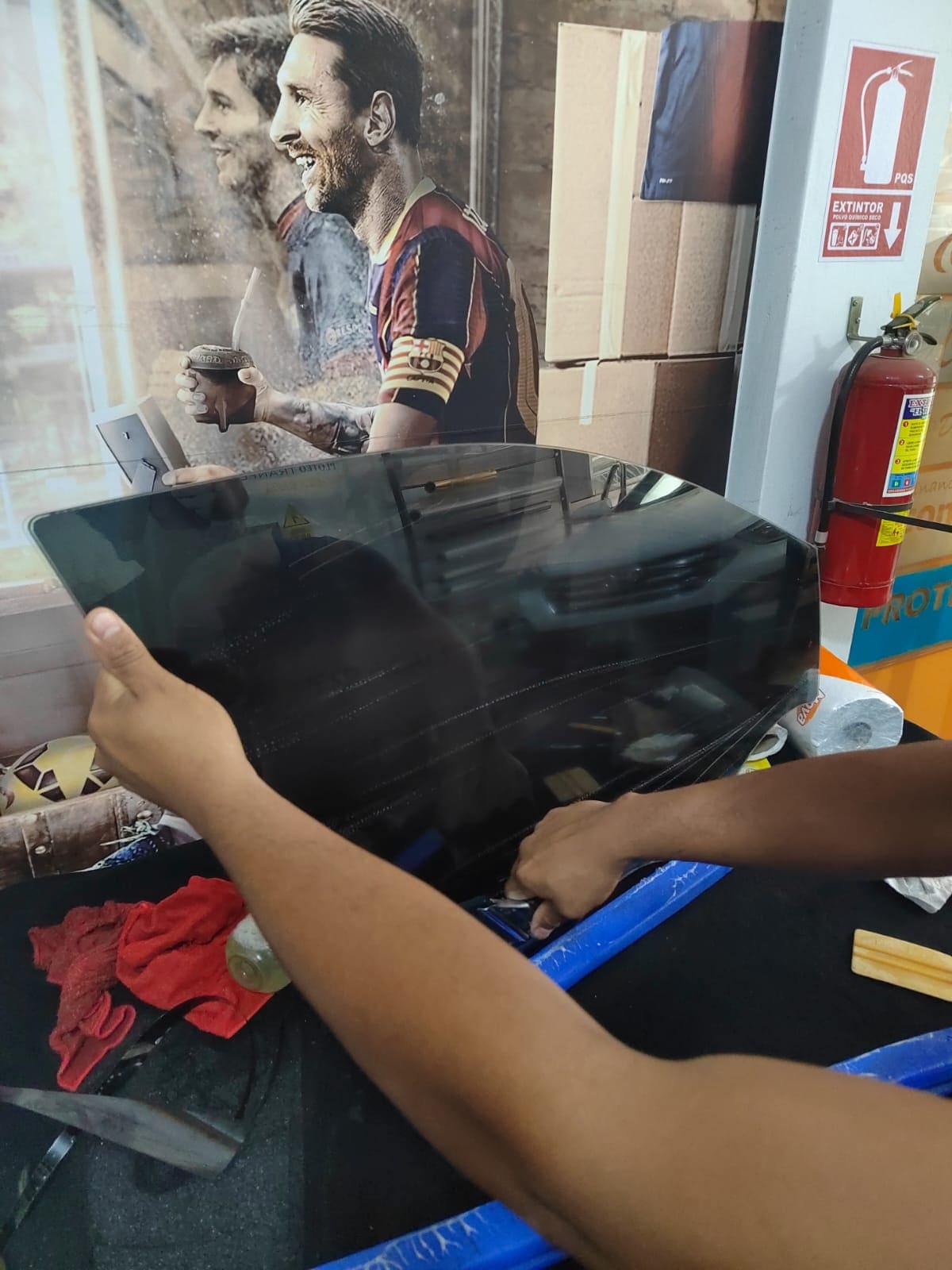 polarizado automotriz 6