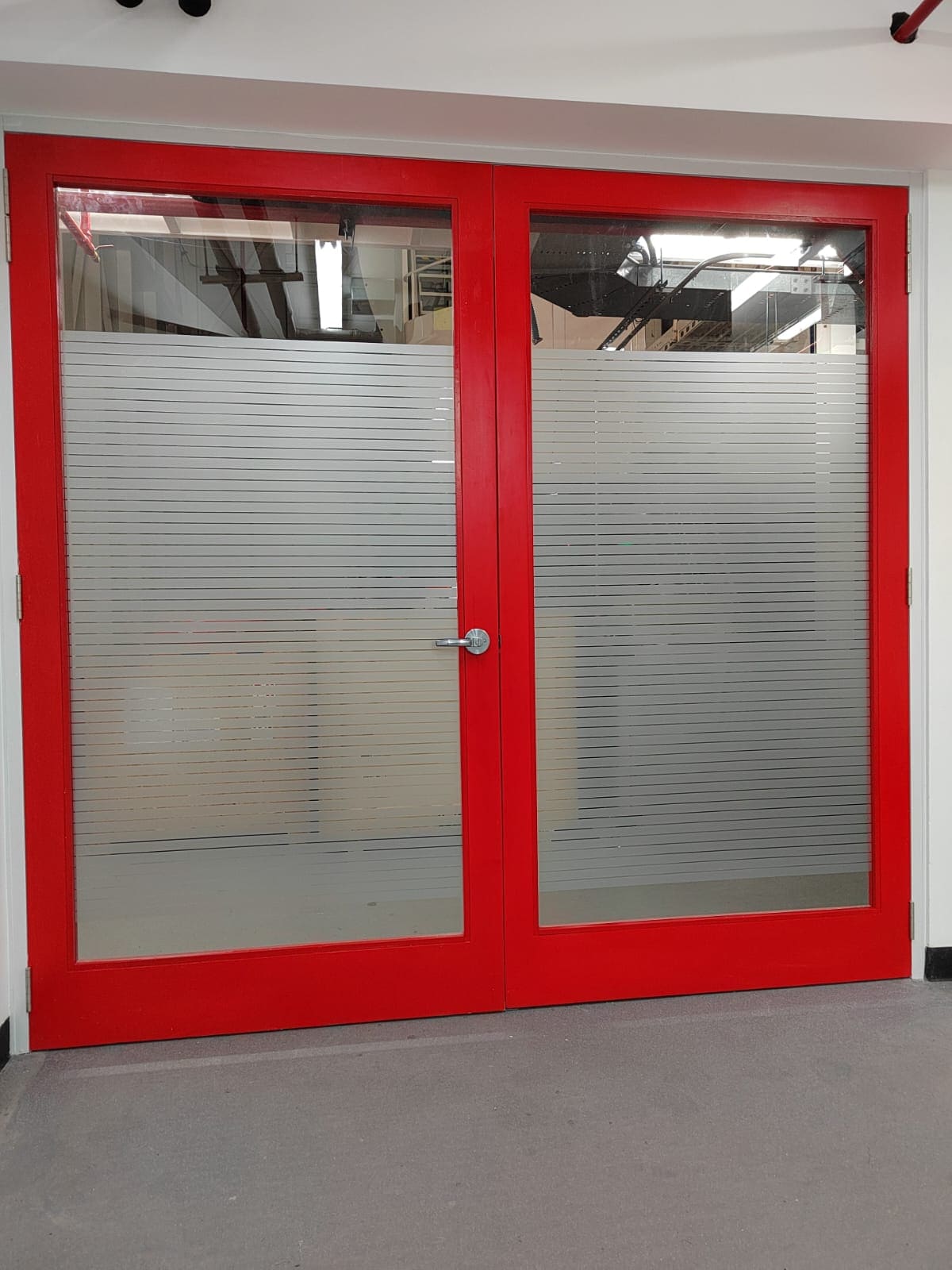 lámina decorativa 6